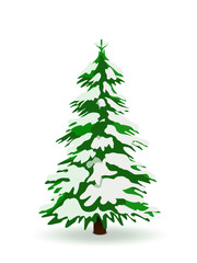 Tannenbaum, Winter, verschneit, Weihnachtsbaum, Schnee, Grün