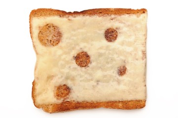 Cheese on toast