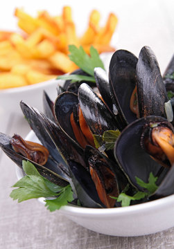 mussel and french fries