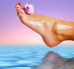 wet foot with flower of orchid