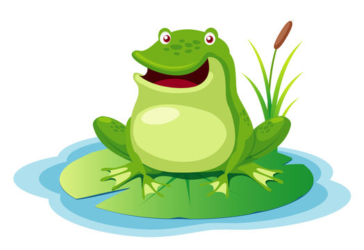 illustration of green frog on a leaf pond