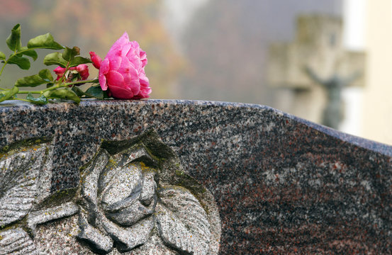 Grabstein mit Rose, Friedhof, Copy space