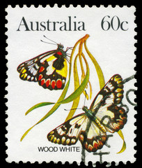 AUSTRALIA - CIRCA 1983 Wood White