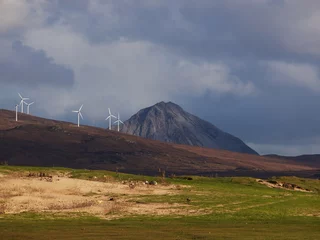 Foto op Canvas windfarm and mountains © columbiahillen