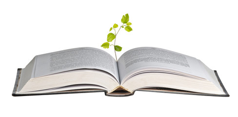 tree growing from open book