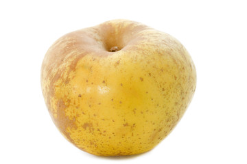 Golden russet apple