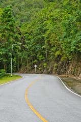 Asphalt curved road in tropical rain forest