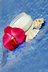 moisturizing lotion with sea shells on water background