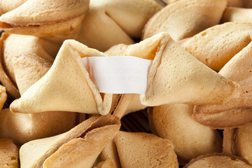 Fresh Made Fortune Cookie