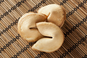 Fresh Made Fortune Cookie