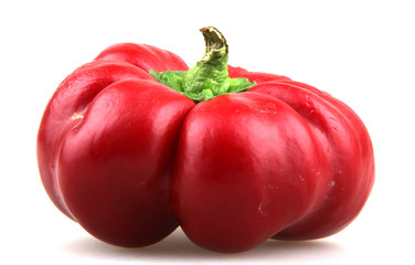 Red  pepper