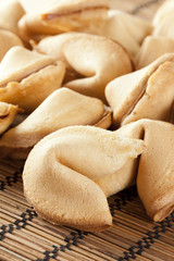Fresh Made Fortune Cookie