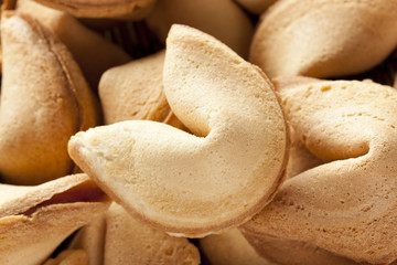 Fresh Made Fortune Cookie