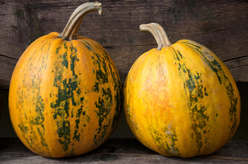 two yellow pumpkins on a wooden background