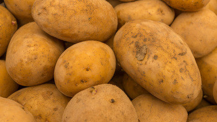 Patate (Solanum Tuberosum)