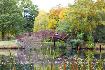 Leipziger Johannapark im Herbst