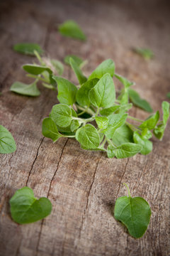 Fresh green mint on wooden table