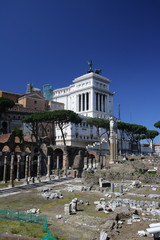 Fototapeta premium Forum