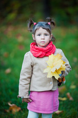 Serious toddler girl in the park with yellow leaves outdoor