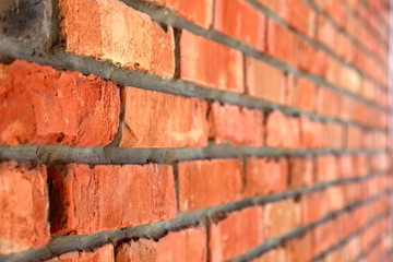 wall