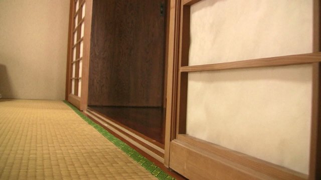 Japanese Shoji Door