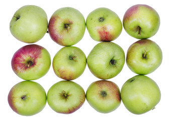 A dozen ordinary green  apples