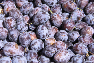 obstkiste mit pflaumen