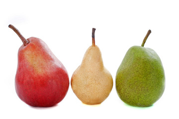 varieties of pears