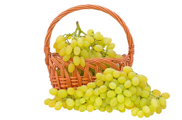 Fresh grape fruits