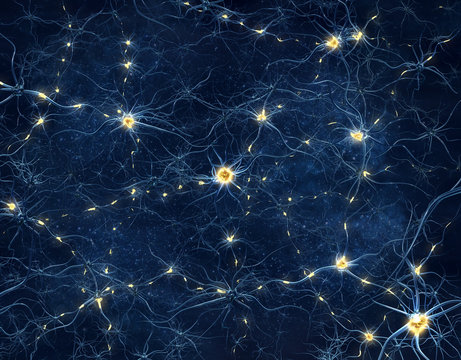 Nervengeflecht im Erregungszustand