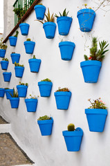 Flowerpots in an Andalusian town