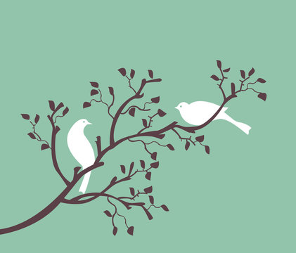 oiseaux sur branche blanc sur turquoise
