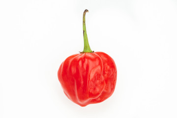 Scotch bonnet pepper