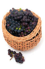 Fototapeta na wymiar fresh grapes in a basket