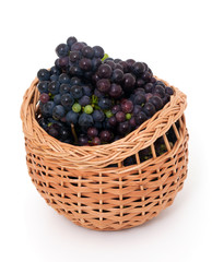 fresh grapes in a basket