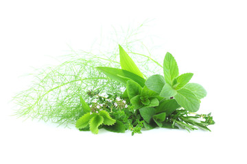 Fresh herbs © Studio Barcelona