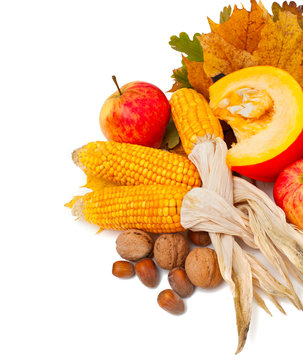 autumn fruits and vegetables on aging leaves