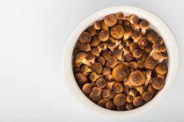 Ciotolina con Funghi Chiodini
