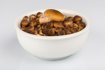 Ciotolina con Funghi Chiodini