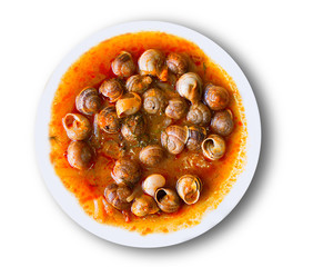 dish of snails prepared at spanish style