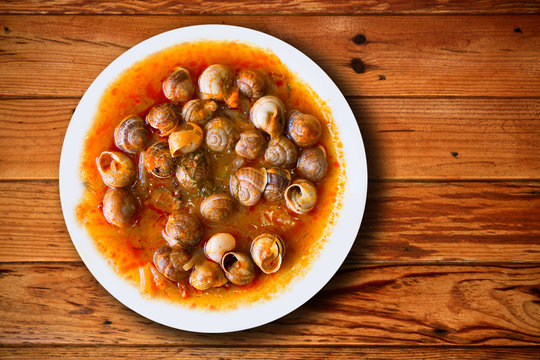 dish of snails prepared at spanish style