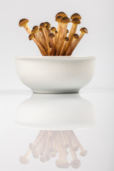 Ciotolina con Funghi Chiodini