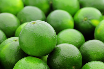 green lime citrus fruit