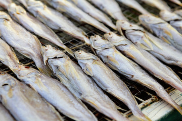salted fishes