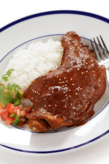 chicken mole, mexican cuisine