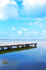 Obraz premium Albufera lake in Valencia El Saler