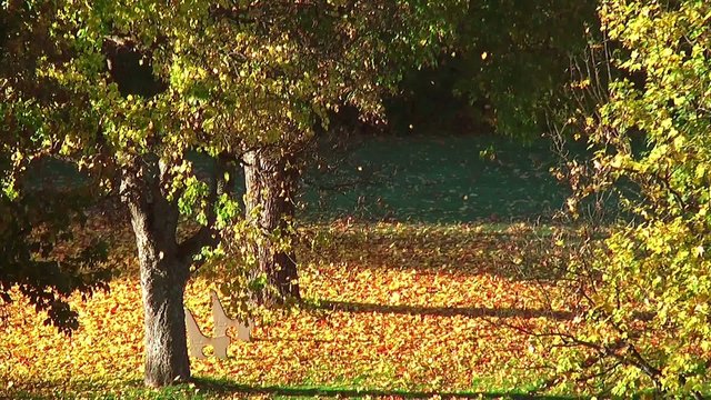 fallender herbstbl&auml;tter