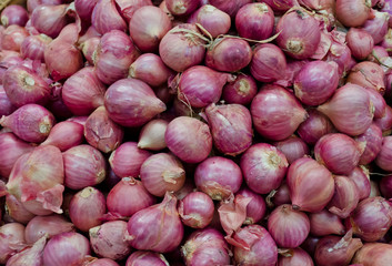 Bulb onions on sales