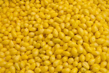 Yellow Ginkgo seed on sales