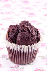 chocolate muffin